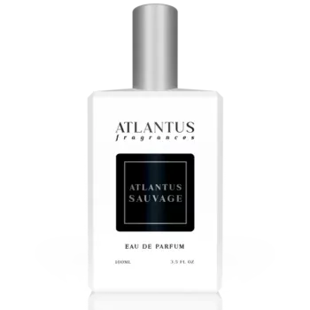 Dior Sauvage Dupe, 100ml Bottle – The Best Dior Sauvage Dupe, Inspired by Dior Sauvage, Dior Sauvage Clone