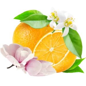 Orange Flower