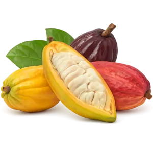 Cocoa