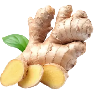 Ginger